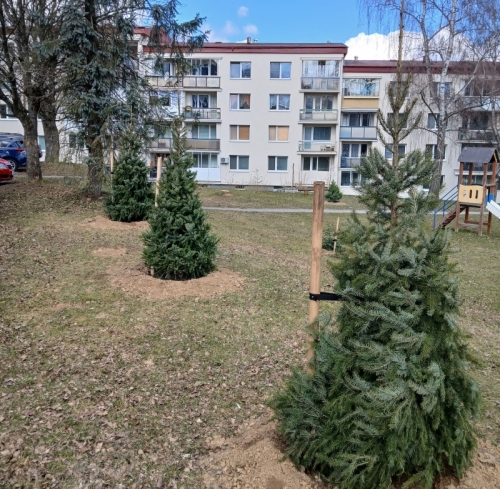 Jarná výsadba stromov na plochách verejnej zelene