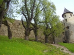 Okrem pagaštanov sa na ošetrenie môžu „tešiť“ aj duby za hradom či lipy a javory v blízkosti budovy Ľubovnianskeho múzea.